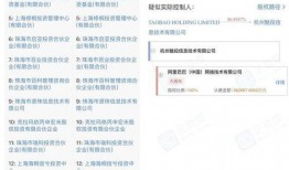 华为爆料辛巴视频大全最新,辛巴视频大全，带你领略科技与娱乐的完美融合